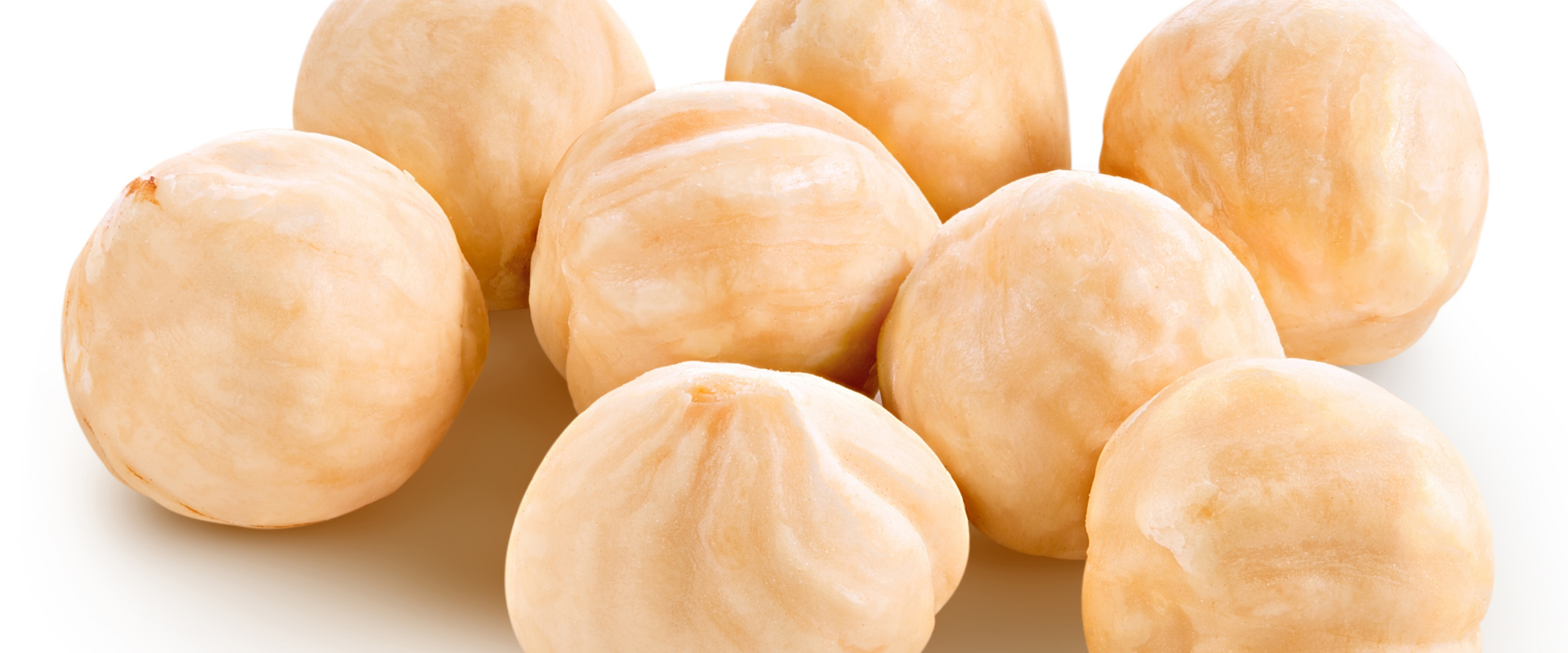 Hazelnut Processing